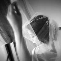 Ashley Shutter
