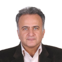 seyed mohammad Ebrahimi