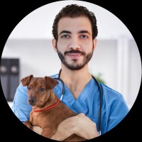 Amr Nasser