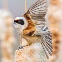 李广生