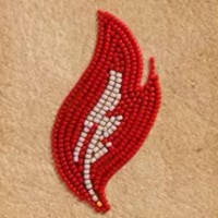 American Indian College Fund