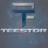 Teestor International Company Software Testing