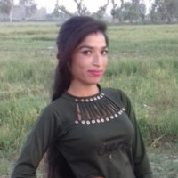 Komal Mehto