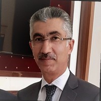ali borhani