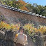 조효경