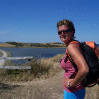 Tineke Roos