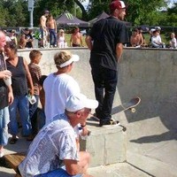 Shane Fruits