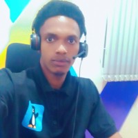 Momodou W Jallow