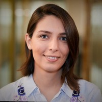 Narges Noroozi