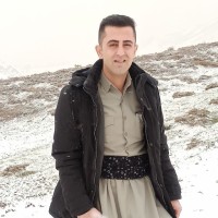 Hasel Ebrahim Zade