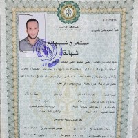 Ali Mohamad Elbalasy