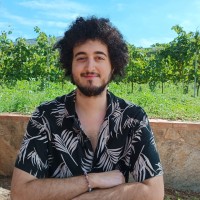 Lluis Pou Vidal
