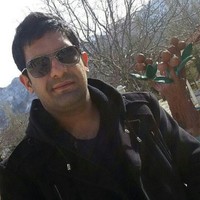 Amir Pourali