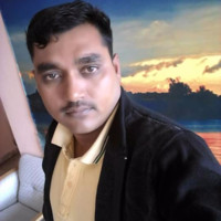 Anil Ray