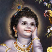 Sukhdev Chib