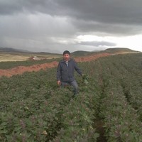 Miguel Quispe
