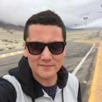David Castillo Cortes