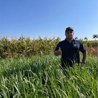 João Gabriel Moreira Primon