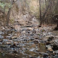 Frank Giambalvo