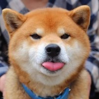 Элеонора Иванова