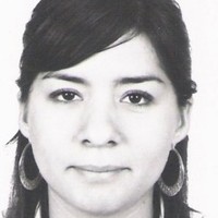 Claudia Castillo Gómez