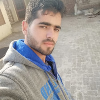 Malik S Malik