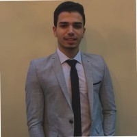 Nour Aldin Eltamimy
