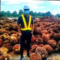 Mohd Yusri Bin Mohd Tam