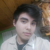 diego budiño