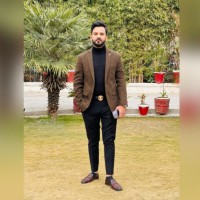 Mushahid Hassan