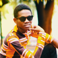 Na Director Xray