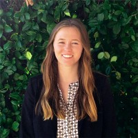 Kristen Wille