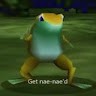 A frog