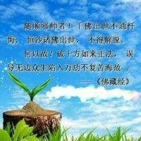 张进荣