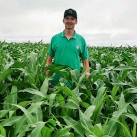 Leonardo Ferreira Dos Santos