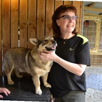 Birgitta Alm Ssk