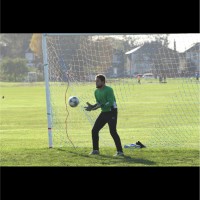 Nesta Reason