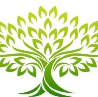 GREEN OLIVE CONTROL SYSTEMS