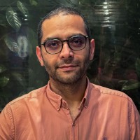Ashkan Hedayati