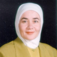 Nourhan Amin
