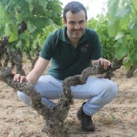 Javier Cereceda Díez