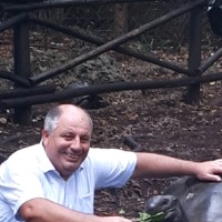 Kenan Kucuk