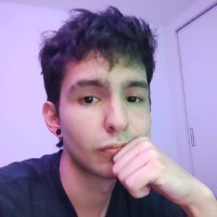 Lucas Vinicius De Almeida Brigida