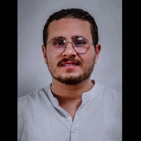 Mohamed Elemam, FE ®