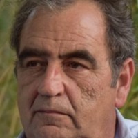 RICARDO GASCON VILLARROYA