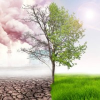Climate Change Consult