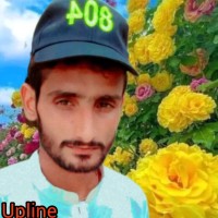 Muhammad Shafique
