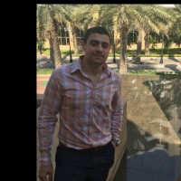 Amr Labeib