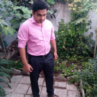 Muhammad Laraib