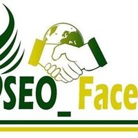 SEO_Faceup , Digital Marketing Agency